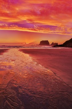 Westport, Yeni Zelanda'da gün batımında Sandy beach.