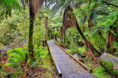 Yağmur ormanlarında küçük ahşap köprü. Buzul, South Island, Yeni Zelanda tilki 