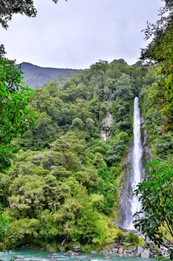 Şelale orman Westland Milli Parkı, Yeni Zelanda