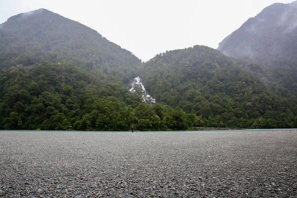 Westland National Park. New Zealand. — Stock Photo, Image