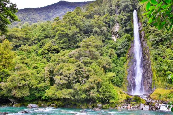 Cascata nella foresta nel Westland National Park, Nuova Zelanda — Foto Stock