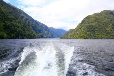 Arkadan Görünüm bir teknenin, güzel manzara. Milford ses, Yeni Zelanda