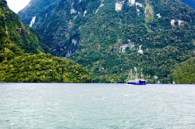 Görünüm Milford ses berzahlar, Te Anau, Yeni Zelanda.