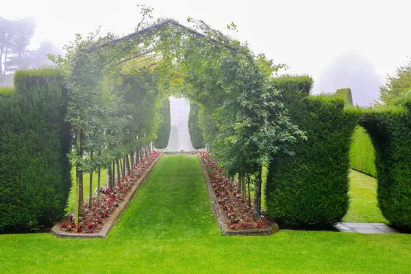 Dunedin, Nya Zeeland - Febr 10, 2015: Dimmig morgon i trädgården av Larnach Castle. — Stockfoto