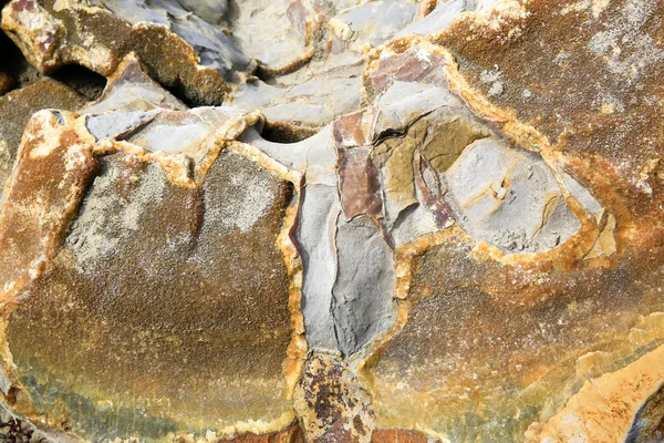 Close-up van gebroken Moeraki Boulder, Nieuw-Zeeland — Stockfoto