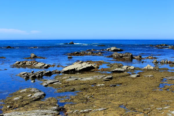 Skalnaté pobřeží na poloostrově Kaikoura, Nový Zéland — Stock fotografie