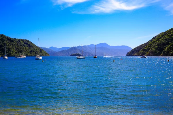 Yates en la bahía de Picton, Isla Sur de Nueva Zelanda . — Foto de Stock