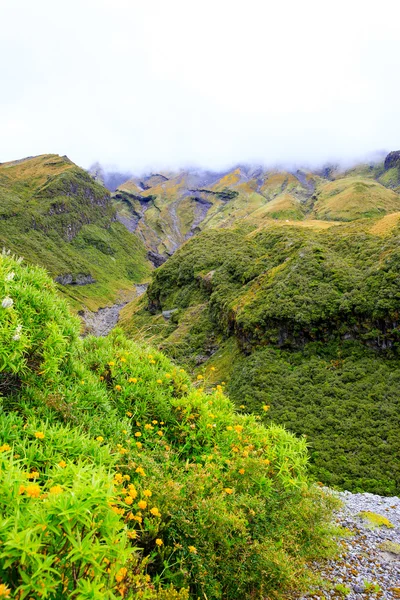 Potoků vytvořil proud lávy na Mount Taranaki, Nový Zéland — Stock fotografie