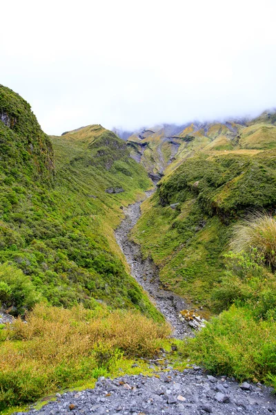 Potoků vytvořil proud lávy na Mount Taranaki, Nový Zéland — Stock fotografie