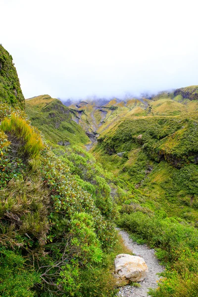 Creeks created by lava flow on Mount Taranaki, New Zealand Stock Photo