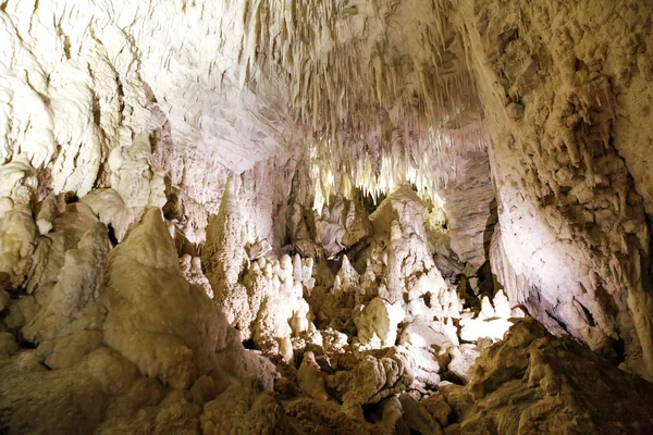 Сталактитів і сталагмітів в Новій Зеландії Ruakuri печери Вайтомо, — стокове фото