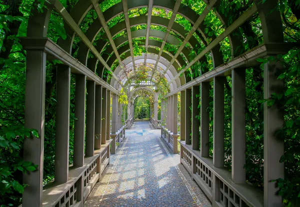 ГАМИЛЬТОН, Новая Зеландия - 25 февраля 2015 года: Итальянский сад эпохи Возрождения в Гамильтон Гарденс — стоковое фото
