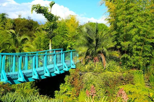 Jardim tropical Hamilton Gardens. Hamilton, Nova Zelândia — Fotografia de Stock