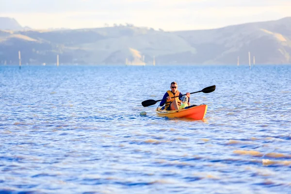 Man kayaking in Coromandel, New Zealand — Stock Photo, Image