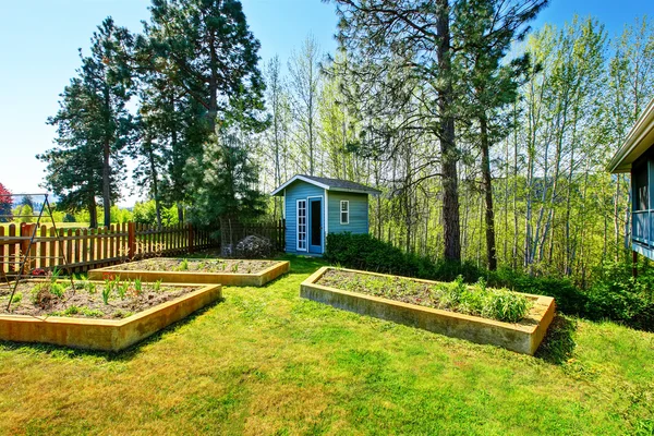 Houten verhoogd groente tuin bedden in de achtertuin. — Stockfoto
