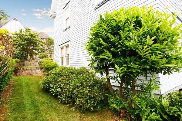 Jardín bien cuidado alrededor de la casa . — Foto de Stock