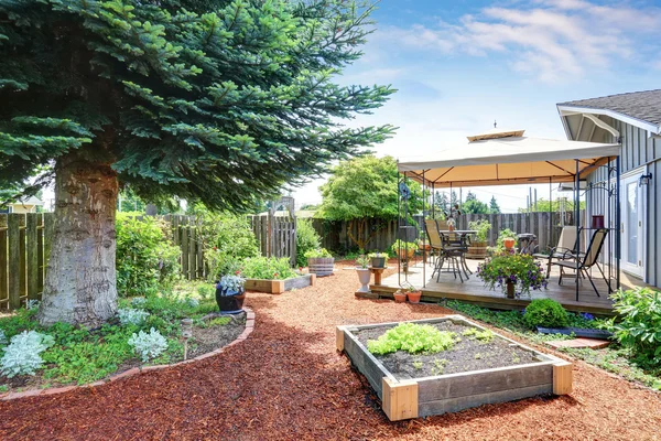 Piccoli letti da giardino nel cortile . — Foto Stock