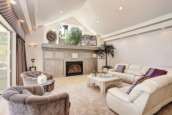Gorgeous luxury furnished family room interior — Stock Photo, Image