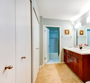 basit banyo vanity kabine ve ayna ile iç