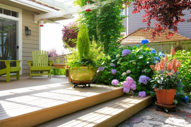 Tencere güzel çiçekleri ile güverte