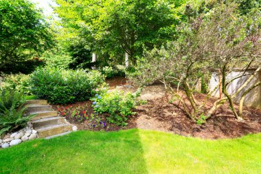 ev bahçe. Arka Bahçe peyzaj fikir