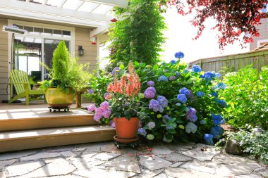 Tencere güzel çiçekleri ile güverte