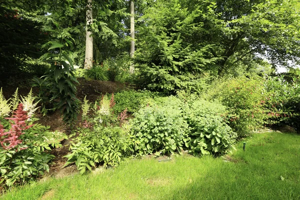 Giardino di casa durante il periodo estivo — Foto Stock