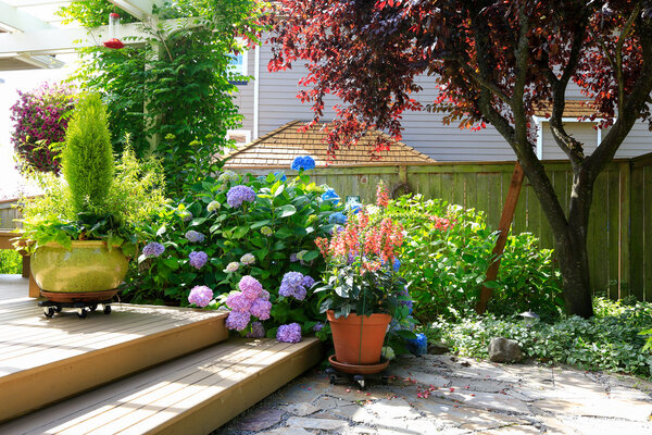 Палуба с красивыми цветами в горшках
