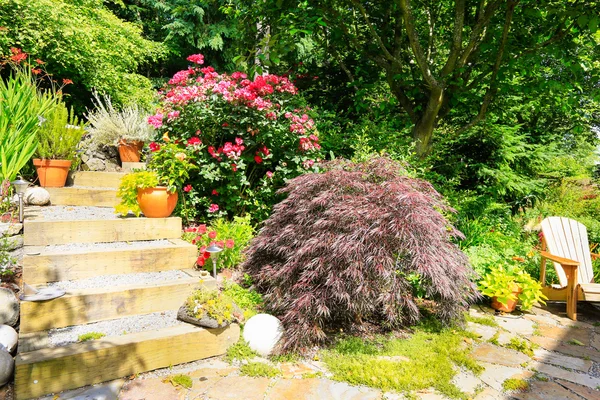 Walkway with blooming flowers alongside — Stock Photo, Image