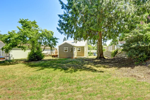 Spacious backayrd with trees. Real estate in  Washington state — Stock Photo, Image