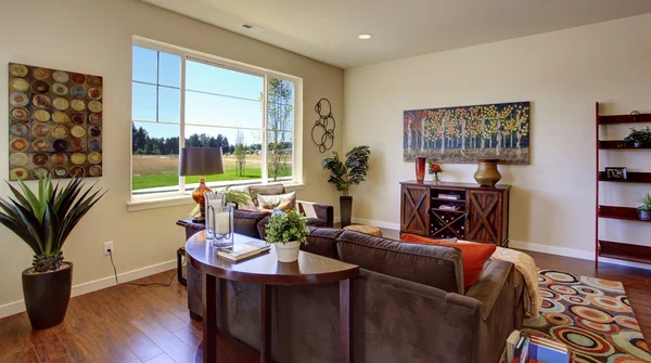 Living room with brown couch — Stock Photo, Image