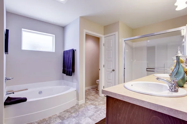 Refreshing white bathroom with glass door and bath tub — Stock Photo, Image