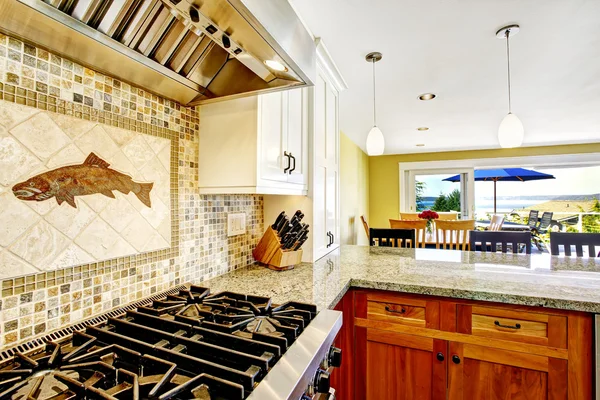 modern ev iç. mutfak oda parlak granit üstleri ve 