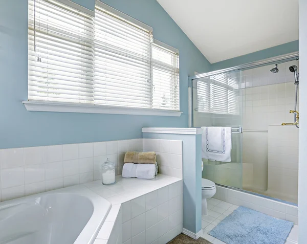 Refrescante interior del baño en tono azul claro — Foto de Stock