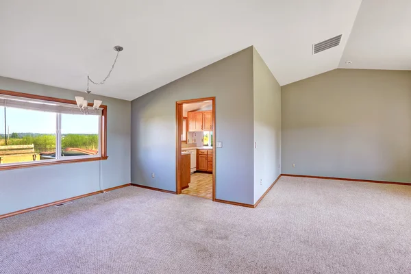 Leere Landschaft Haus Innenraum mit hoher gewölbter Decke — Stockfoto