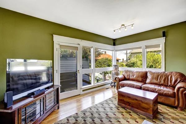 Intérieur de la maison en couleur verte avec canapé en cuir riche — Photo