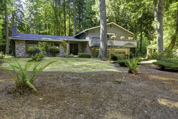 Casa nel bosco. Ora esatta nello stato di Washington — Foto Stock