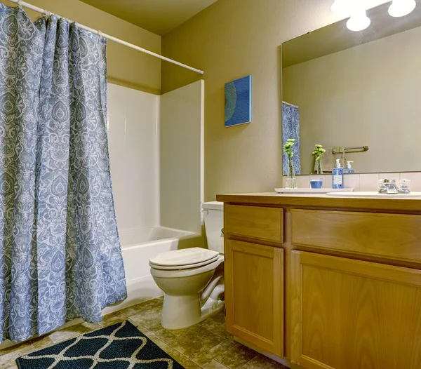 Interior del baño simple con cortina y alfombra —  Fotos de Stock