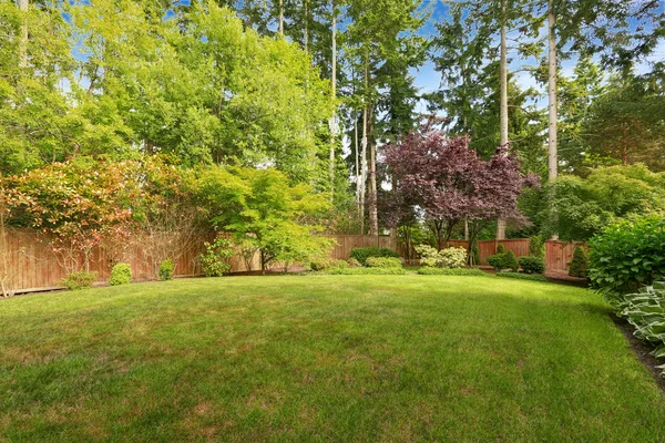 Spacious backyard with fence. — Stock Photo, Image