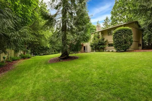 Large backyard area with tree — Stock Photo, Image