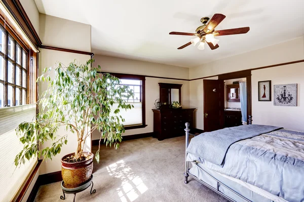 Master bedroom with tree — Stock Photo, Image