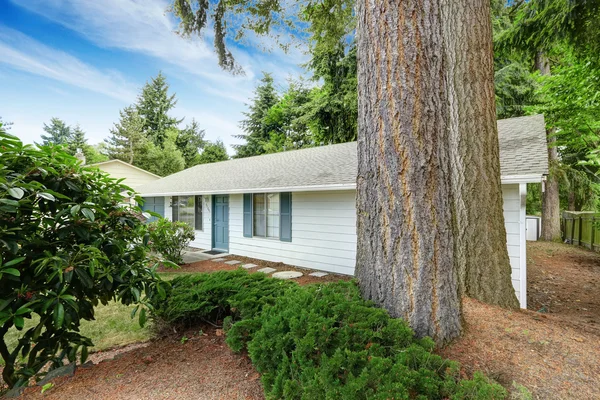 House exterior with blue trim.. Entrance door and concrete walkw — Stock Photo, Image