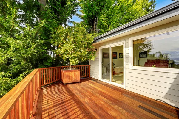 Walkout deck with tree — Stock Photo, Image