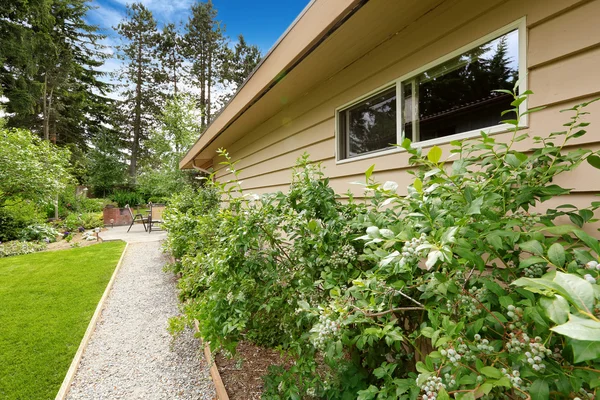 Backyard with gravel walkway and bushes alongside — Stock Photo, Image