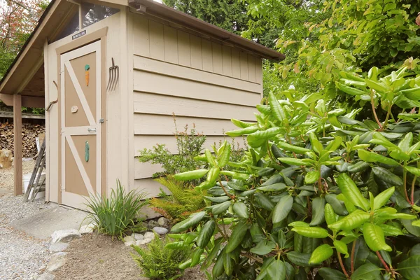 Backyard garden with small shed — Stock Photo, Image