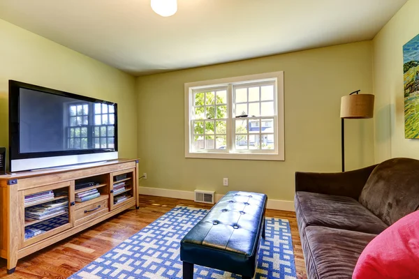 Camera familiare semplice con divano marrone e TV — Foto Stock
