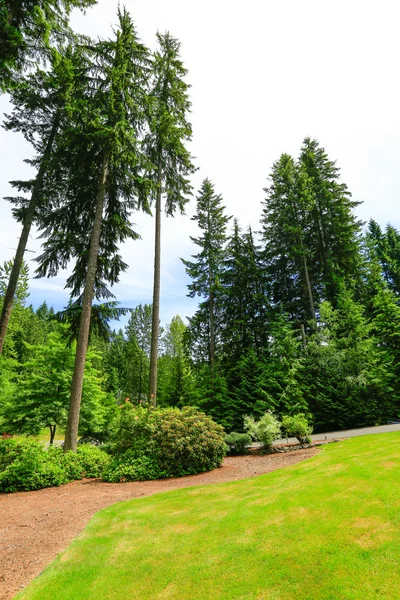 Schöne Landschaftsplanung. Washington-Staat — Stockfoto