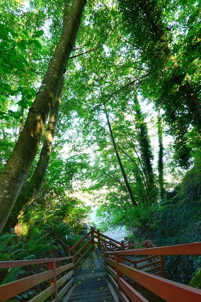 Treppe zum Strand. Bundesstraße, wa — Stockfoto