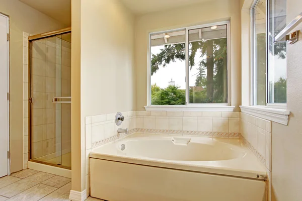 Banyo küveti ile pencere eşiği — Stok fotoğraf