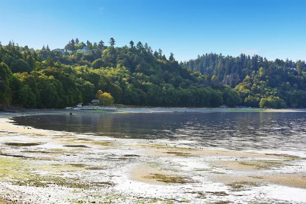 Pantai pribadi dengan pemandangan Puget Sound, Burien, WA — Stok Foto